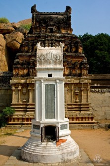 WATP INDIA 865